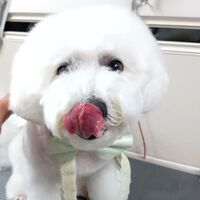 画像3506