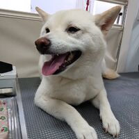 画像3539