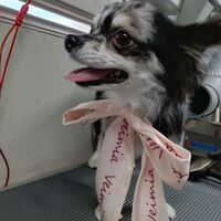 画像3609