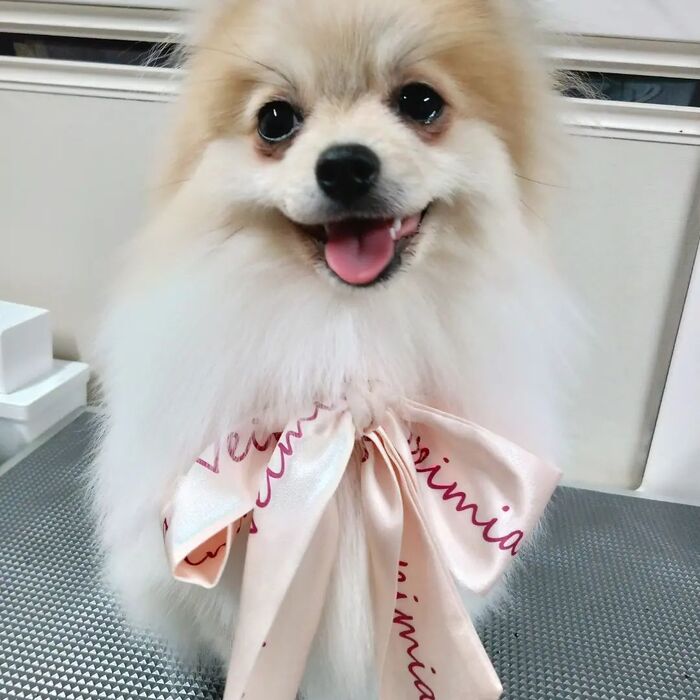 画像3639