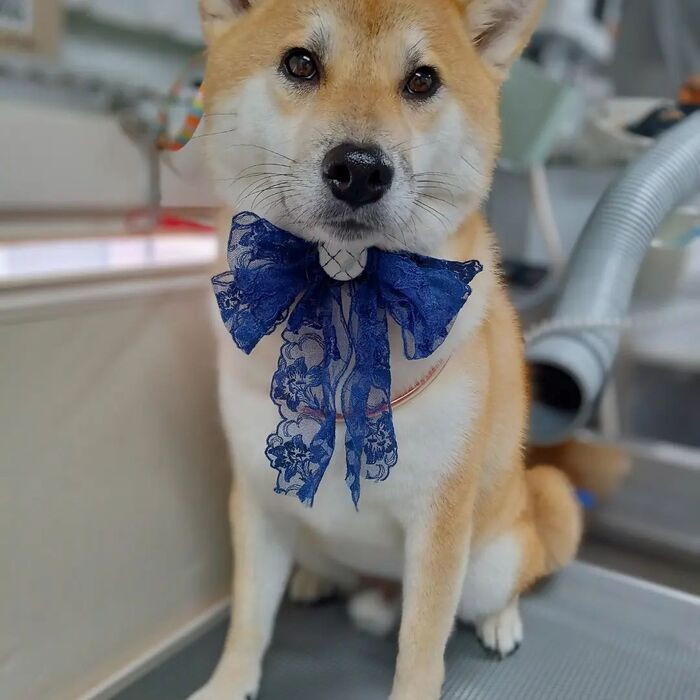 画像3666