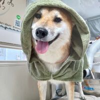 画像3667