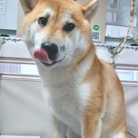 画像3670