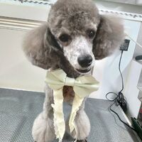 画像3695