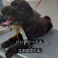 画像3761
