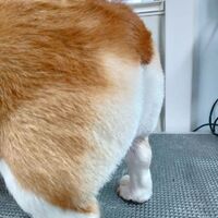 画像3812