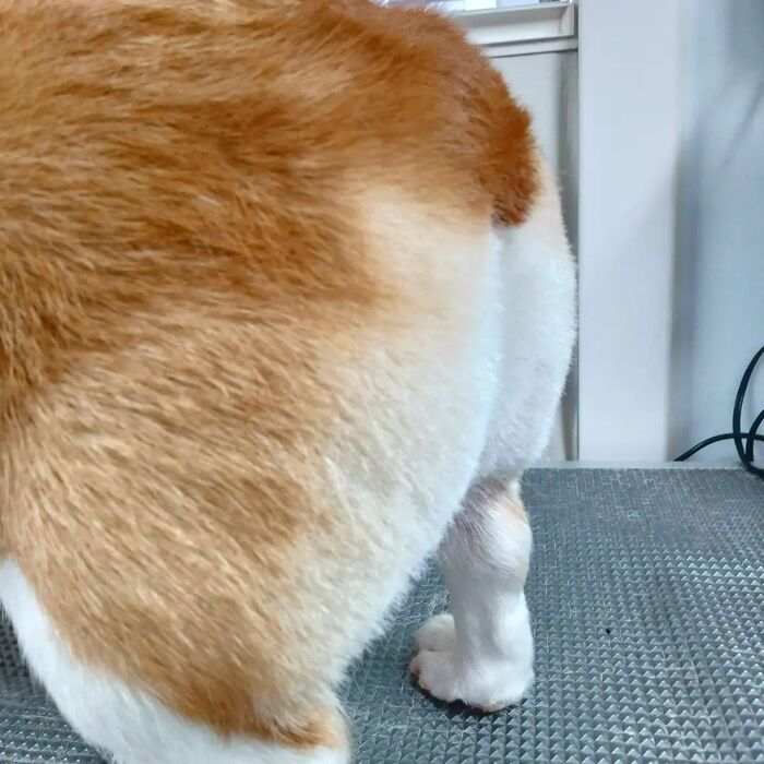 画像3812
