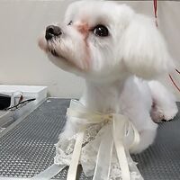 画像3821