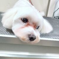 画像3822