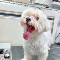 画像3827