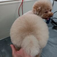 画像3891