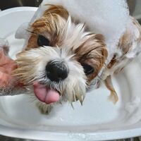 画像3930