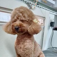 画像3934