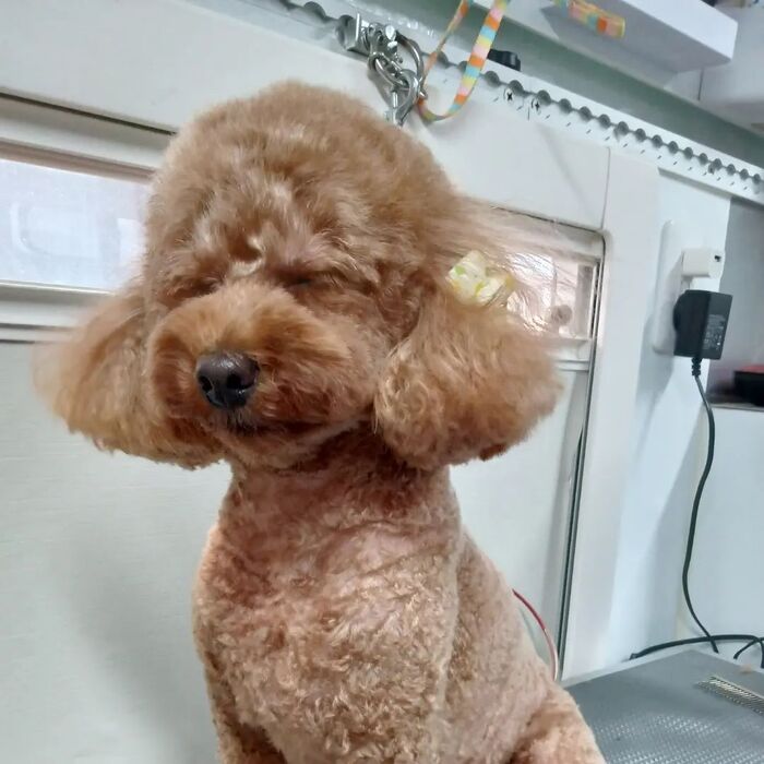 画像3934