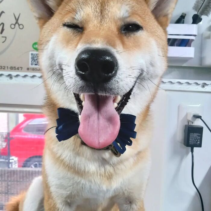 画像3978