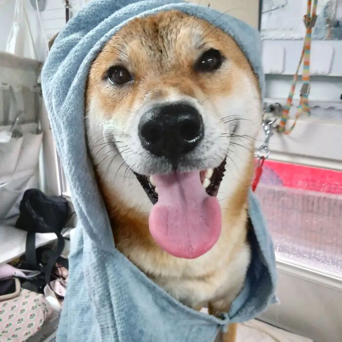 画像3979