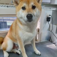 画像4007