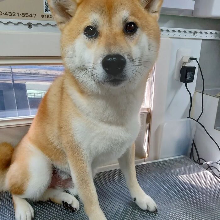 画像4007