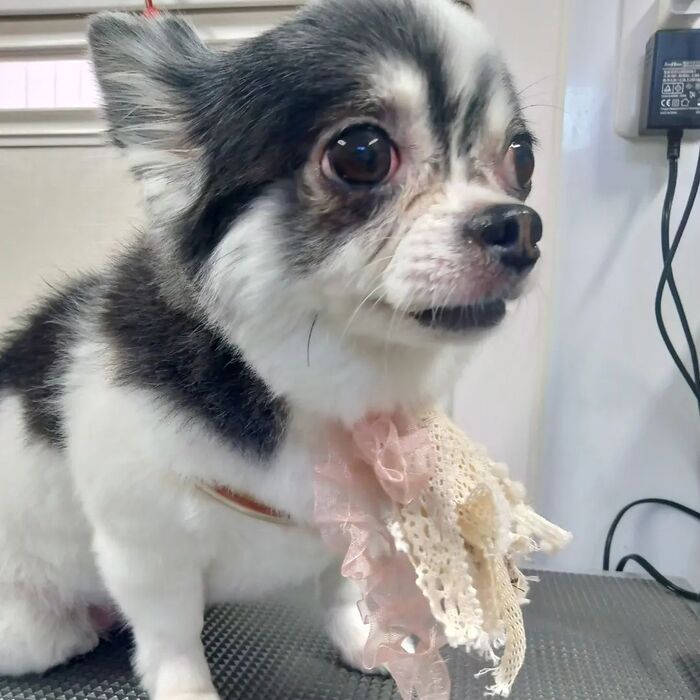 画像4121