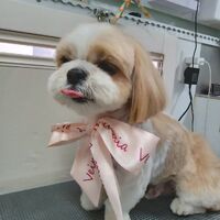 画像4223