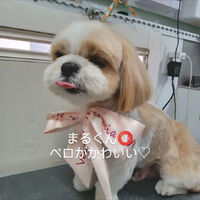 画像4243
