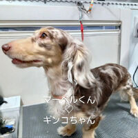 画像4297