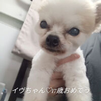 画像4354