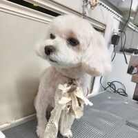 画像4387