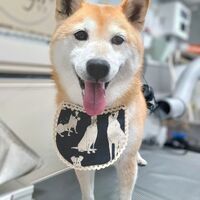 画像4466