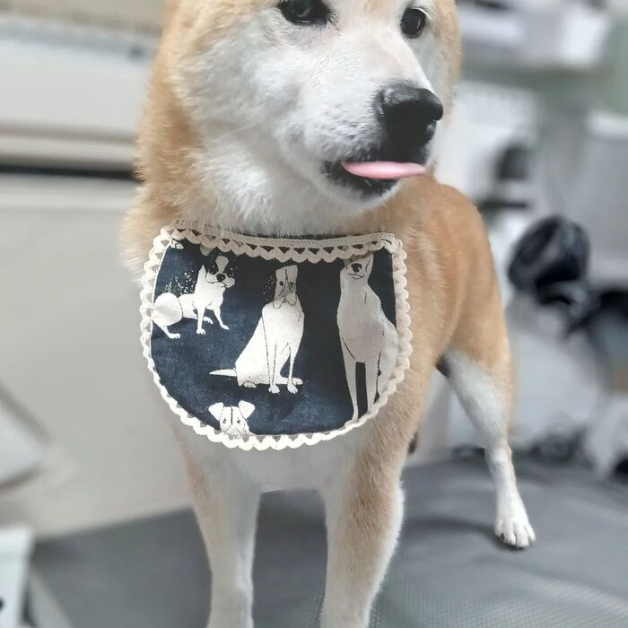 画像4467