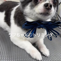 画像4485
