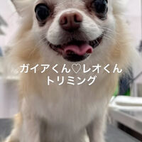 画像4500