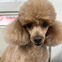 画像4530