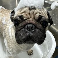 画像4542