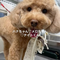 画像4562