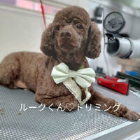 画像4564