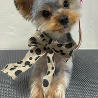画像4568