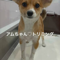 画像4587