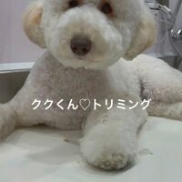画像4589
