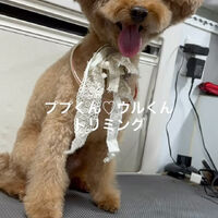 画像4606