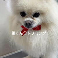 画像4615