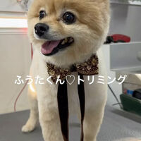 画像4617