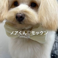 画像4631