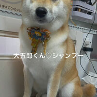 画像4633