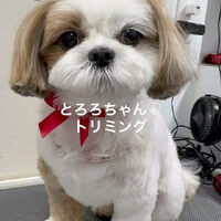 画像4645
