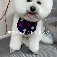 画像4647