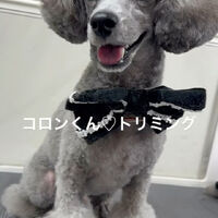 画像4649