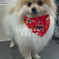 画像4651