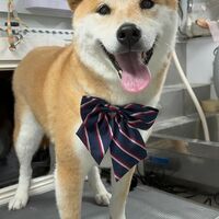 画像4665