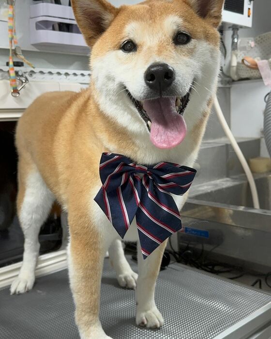 画像4665